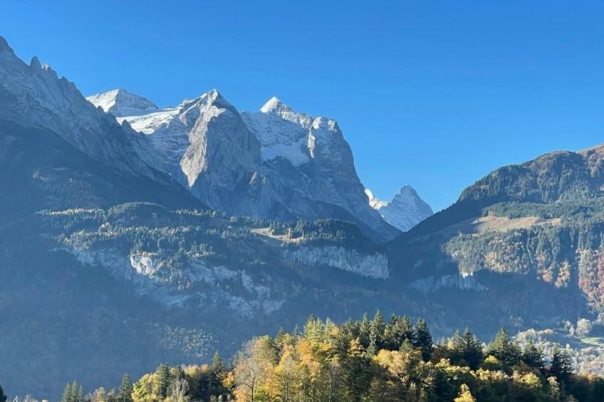 Chalet Bergruh - foto 42