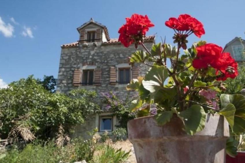 in Zlarin mit Schönem Garten