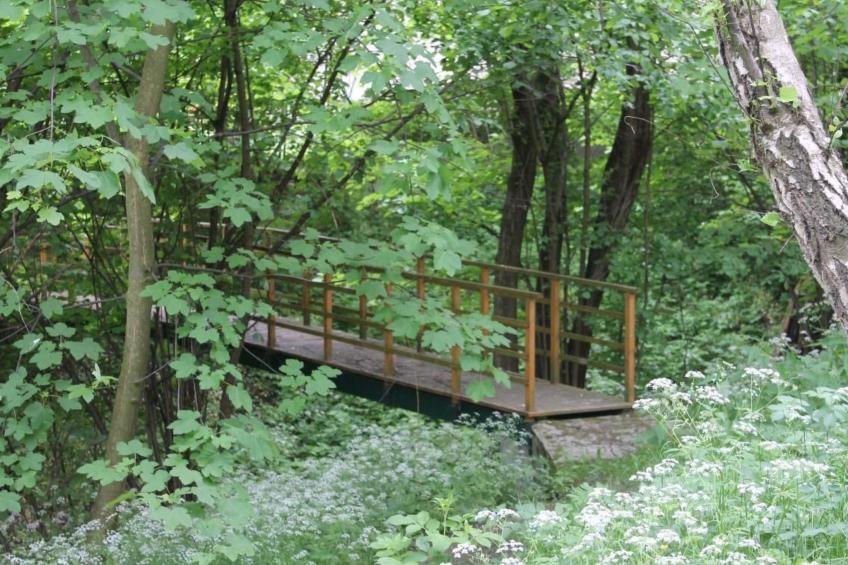 Komfortables Ferienhaus Ewa in Meszna Opacka - foto 24