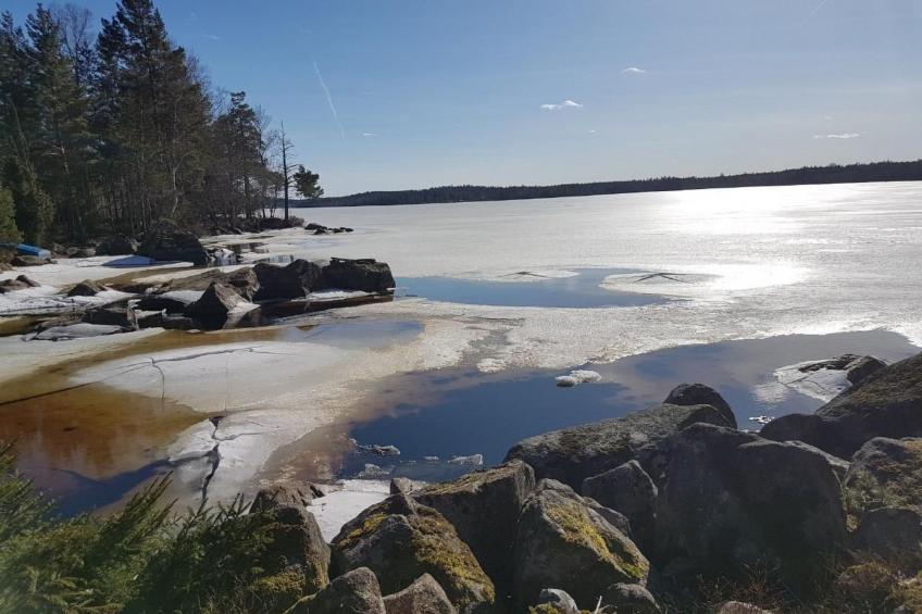 Särskilda - foto 31