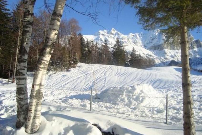 Ferien im grünen links - foto 13