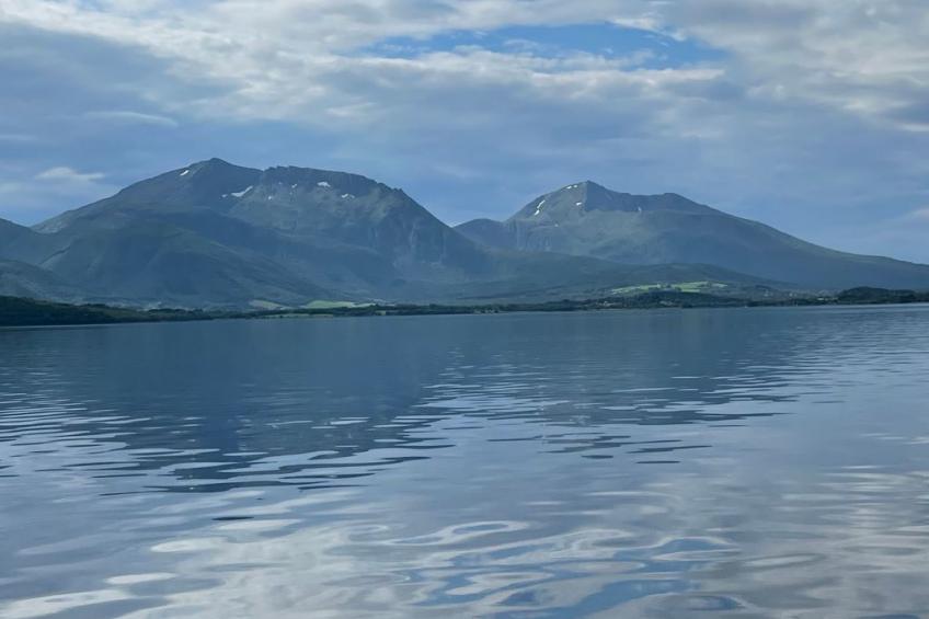 Blockhaus am Fjord - foto 24