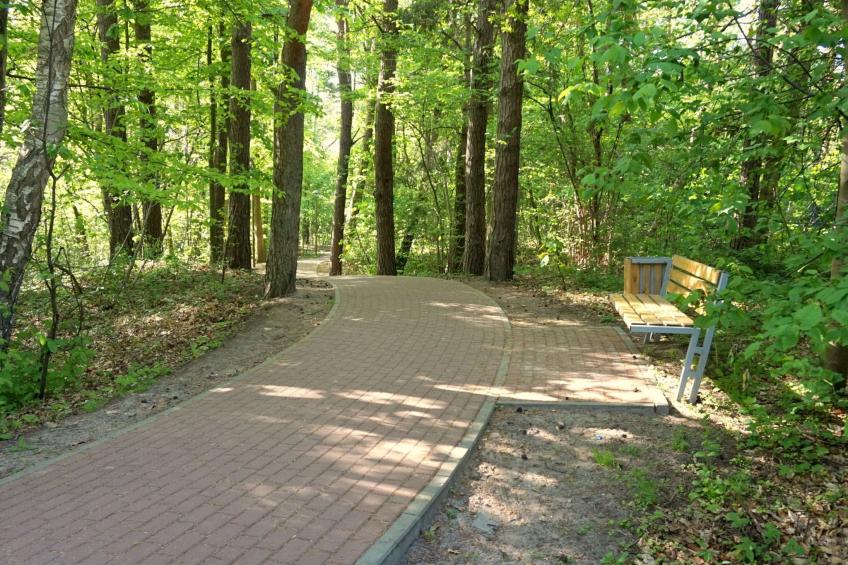 "Paradise Star2" mit eigener Terrasse - foto 40