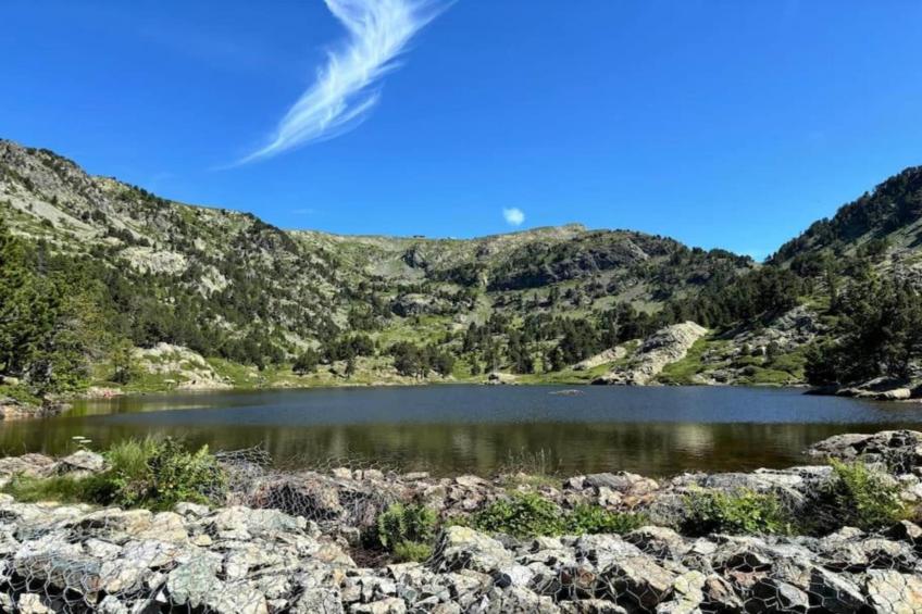 V du Bachat SILENE A N°05 ST6 - foto 12