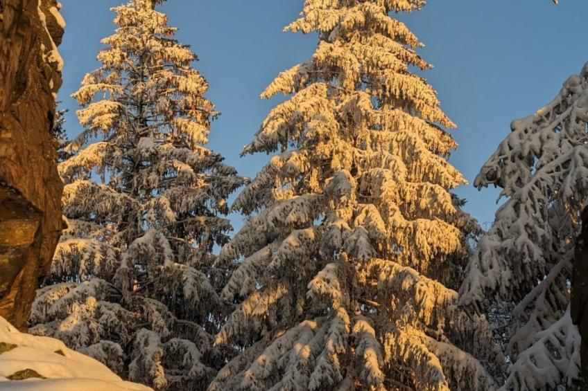 in Erlbach mit Grill und Terrasse - foto 10