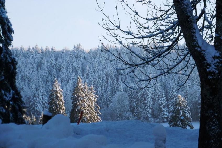 Chalet Désir, Lajoux - foto 37