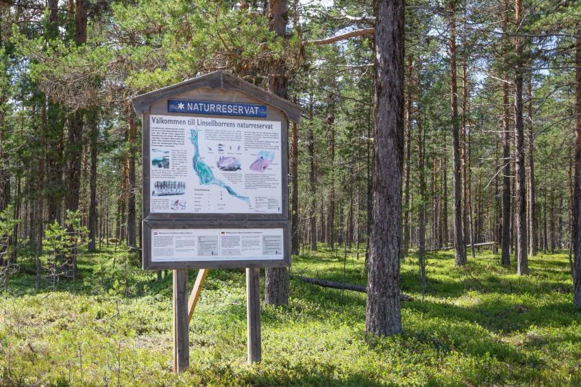 Linsell Villan - foto 34