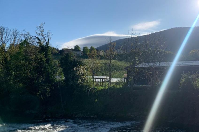 Cozy Little Dream - foto 10