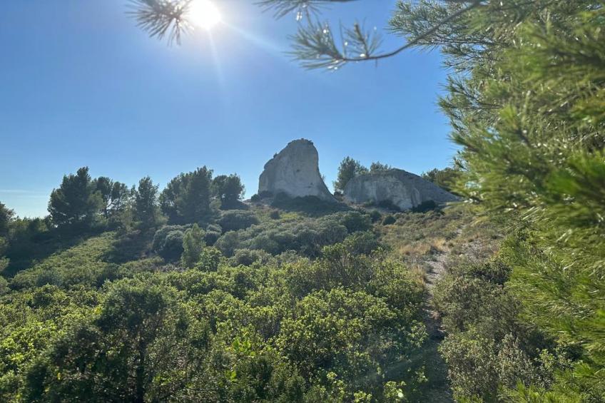 Rèsidence Le Mas des Alpilles - foto 30