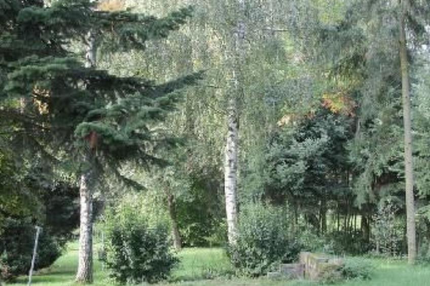 Gästehaus Kühne - foto 13