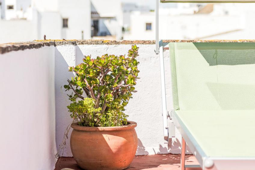 Wohnung mit großer Dachterrasse in Vejer - foto 26