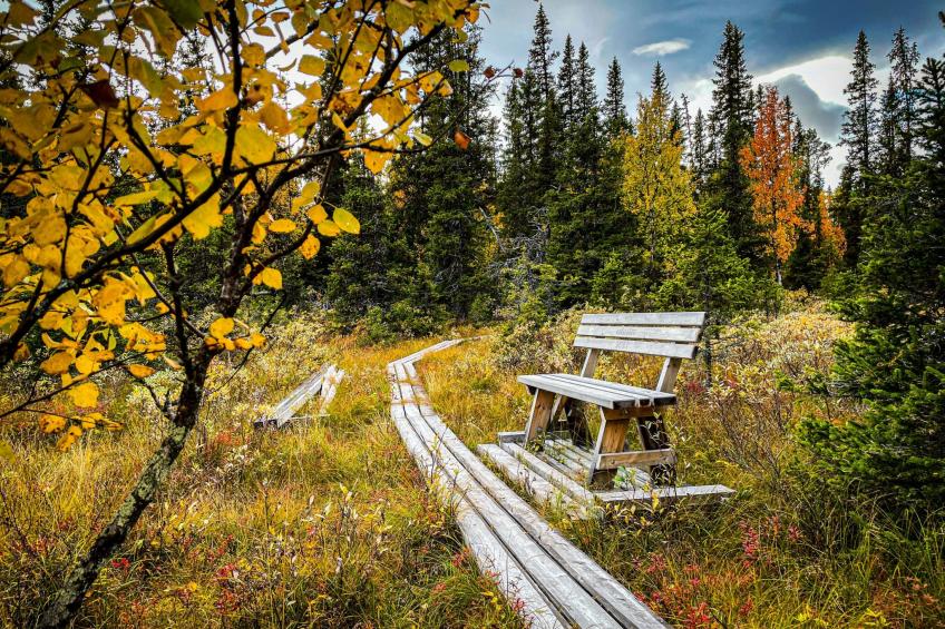 Gemütliches Blockhaus mit Kamin im Oviksfjäll - foto 27