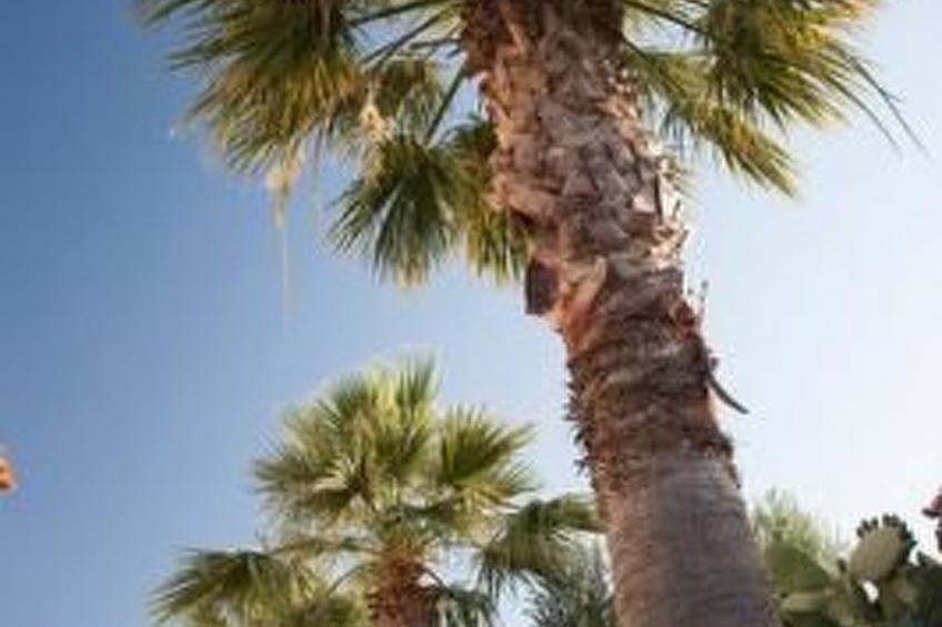 Wohnung Michalis in Agios Nikolaos mit Balkon - foto 13