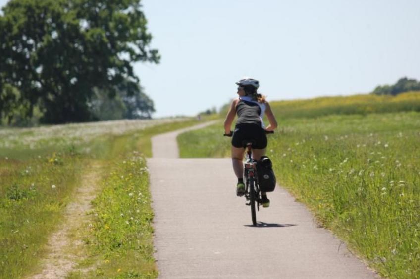 Mueritzbrise 3 mit Terrasse free WiFi - foto 15