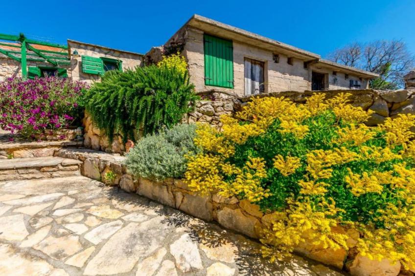 Holiday home Kuzmino - foto 16
