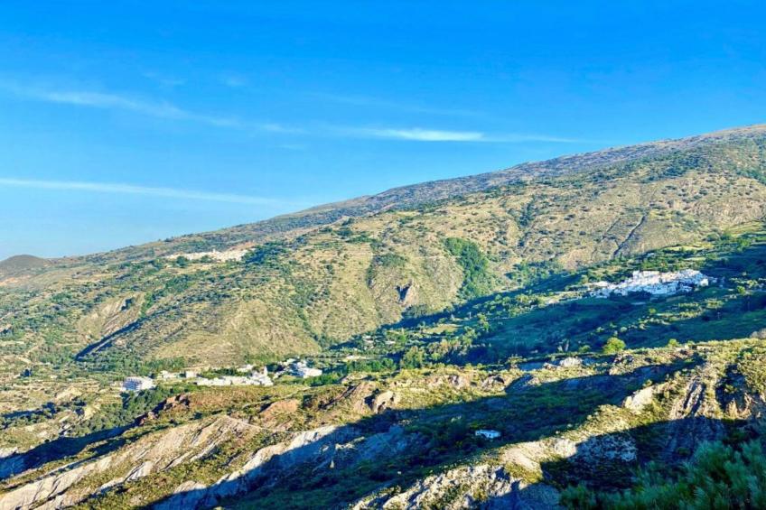 El Ensueno - foto 40