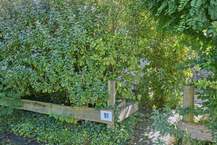 Chalet Gute Rede - foto 29