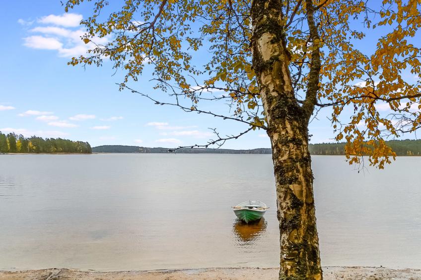 Kesäniitty - foto 2