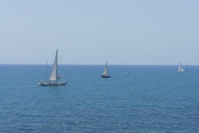 Casolare Olive - foto 23