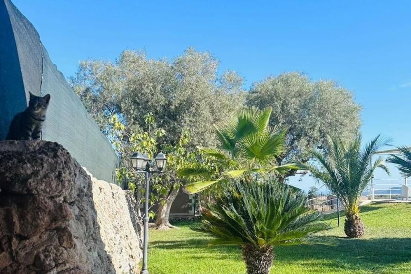 Villa Casale Bagni mit eigenem Pool - foto 17