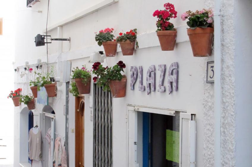 Mojacar Breeze - foto 30