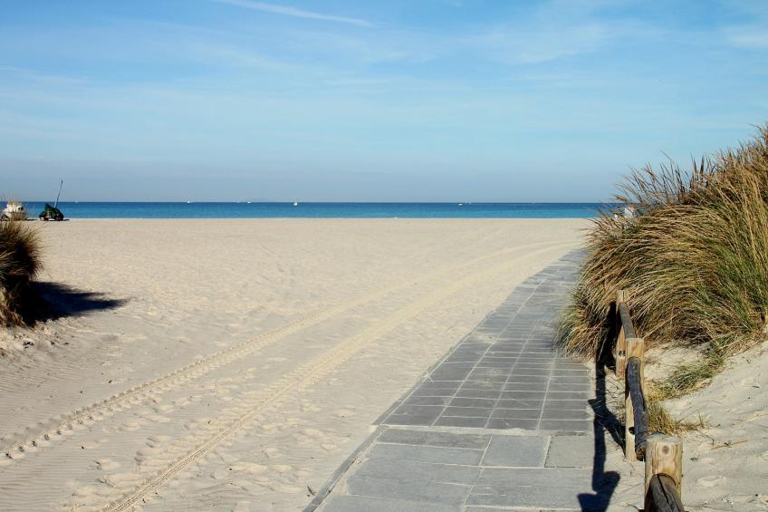 Casale a Montescudaio - Intero - foto 17