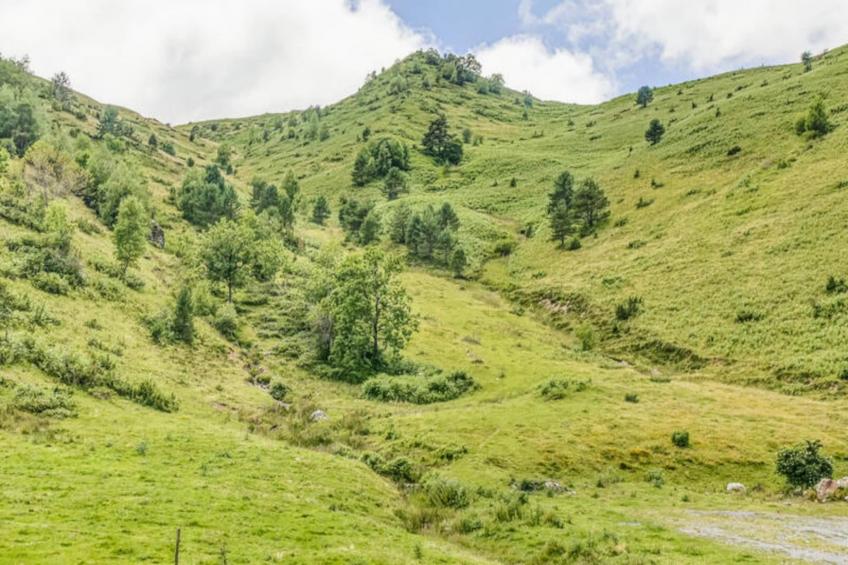 Appartements à Adervielle-Pouchergues - foto 20