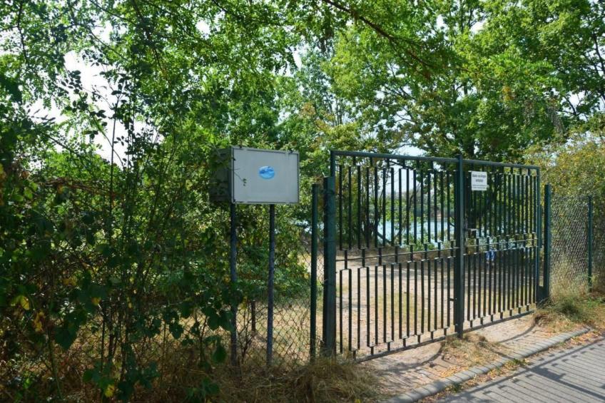 kunstsammler - foto 20