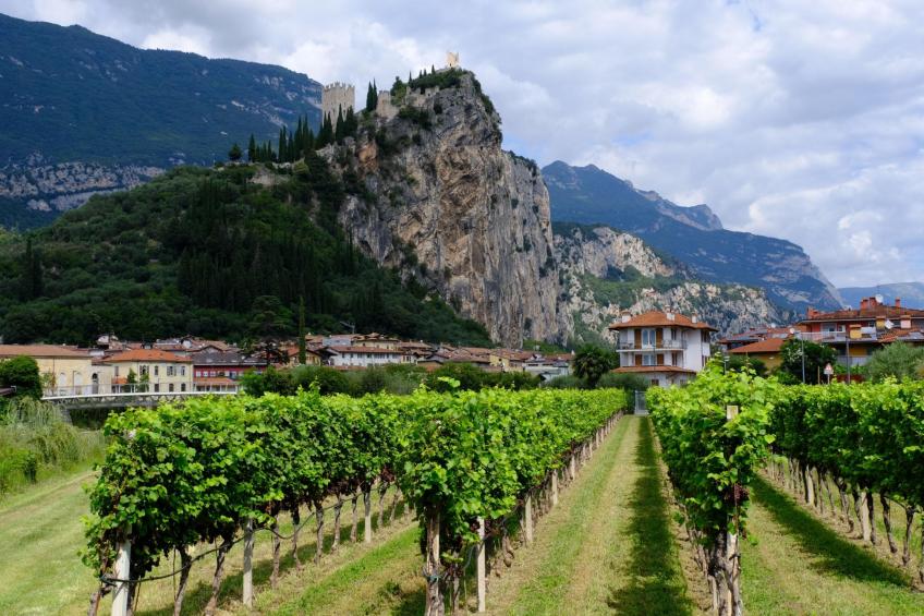 The Peace Of The Lake - foto 23