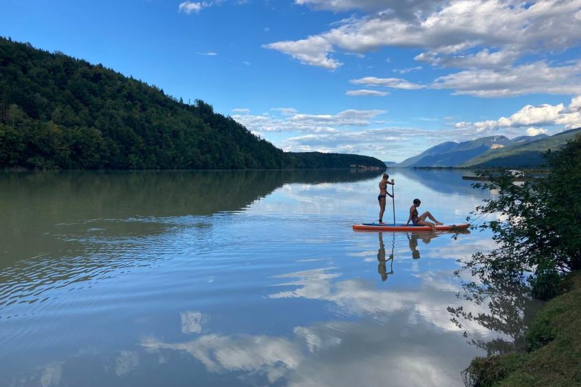 Erle in Feistritz im Rosental - foto 18