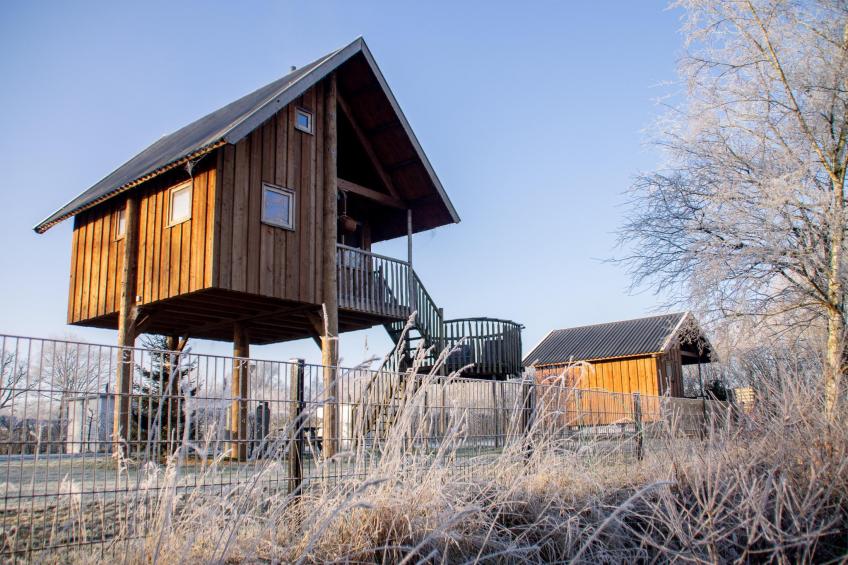 Tree house - foto 25