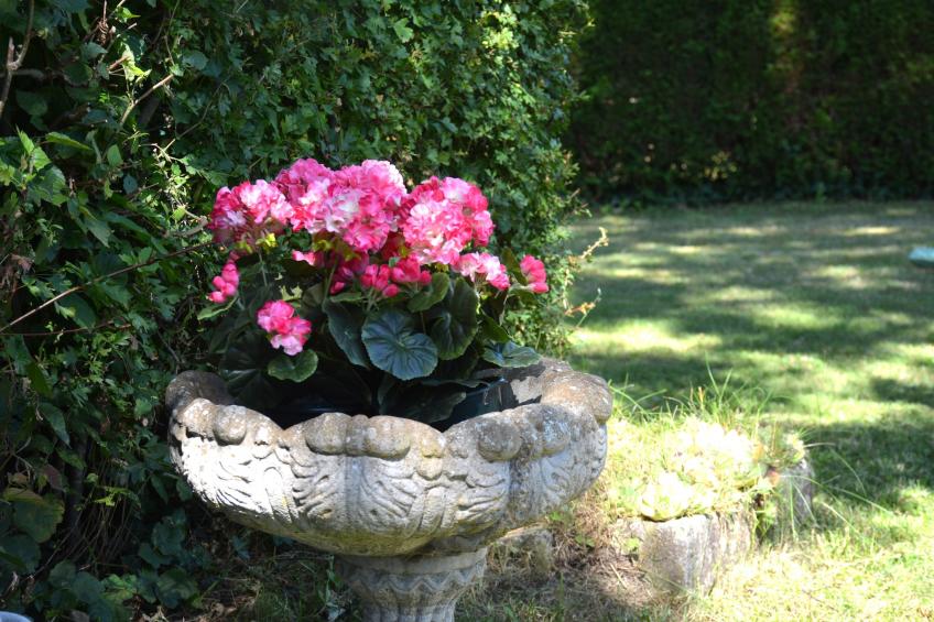 Charme Han Lesse - foto 34
