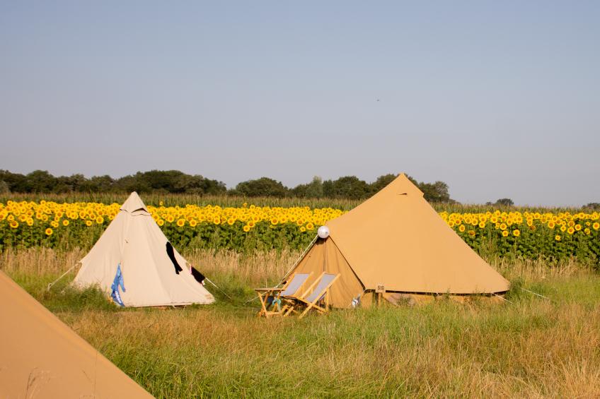 Pop-up glamping: Buurvrouws' Belltentje | 2-4 pers. - foto 4