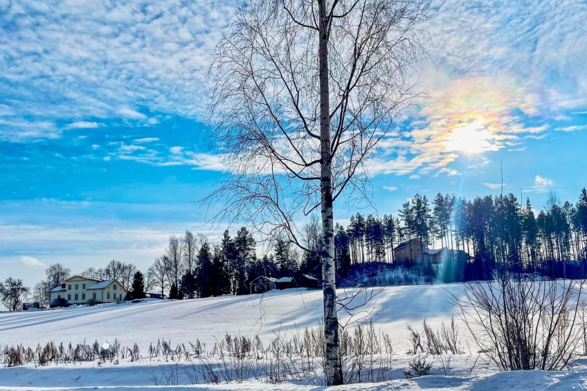 Peltosirkku, seeteri - foto 37