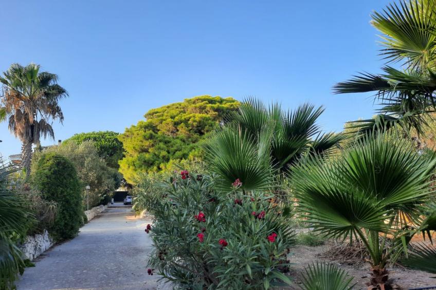 Villa Matilde: Kleine Ferienwohnung mit Meerblick - foto 25