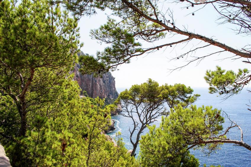 Casa Cap Vermell - foto 34