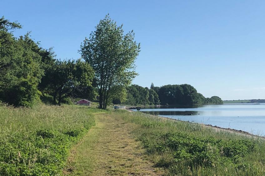 Ferienwohnung - foto 32