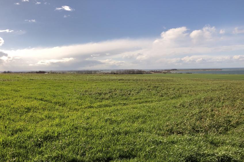 Wohnung in Dreveskirchen mit Kleinem Garten - foto 41
