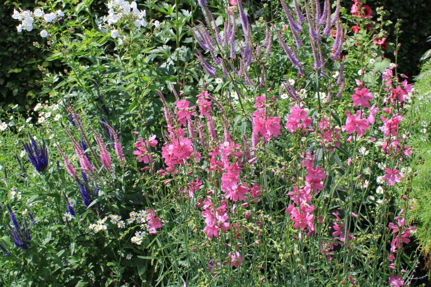 Appartement mit Wallbox - foto 38