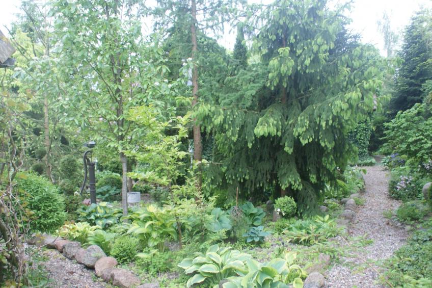 Meeresdorf Stille - Ferienhäuser in den Gärten von Magra - foto 27