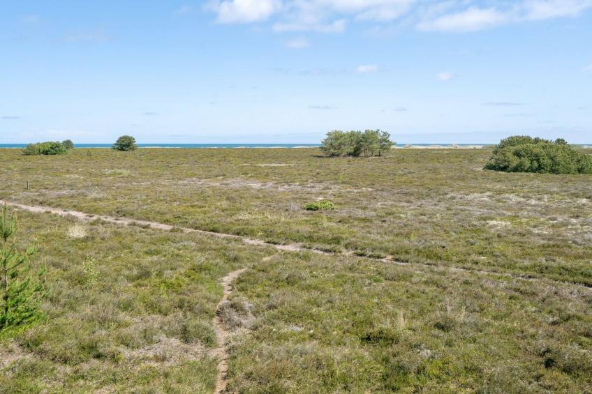 "Hrefna" - 350m from the sea in NE Jutland - foto 37
