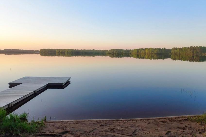 Ranta-koivu - foto 23
