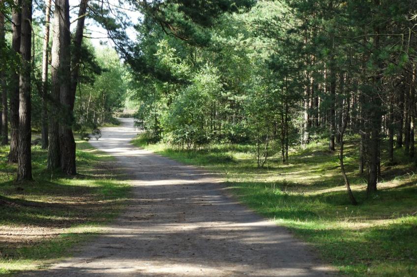 Holzhaus Juhas - foto 38