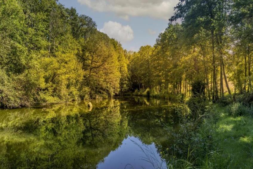 Maison de vacances - LA CHAPELLE-AUX-BOIS - foto 28