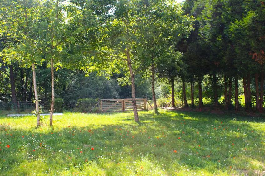 Le Moulin de Lachalade - foto 26