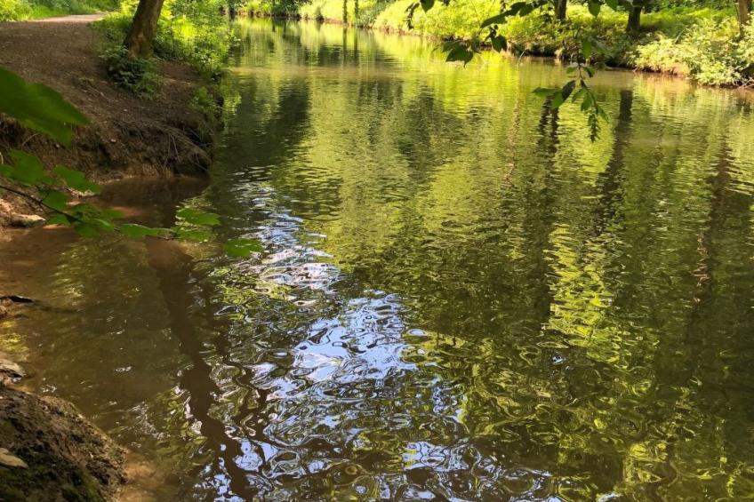 Gartenblick - foto 27