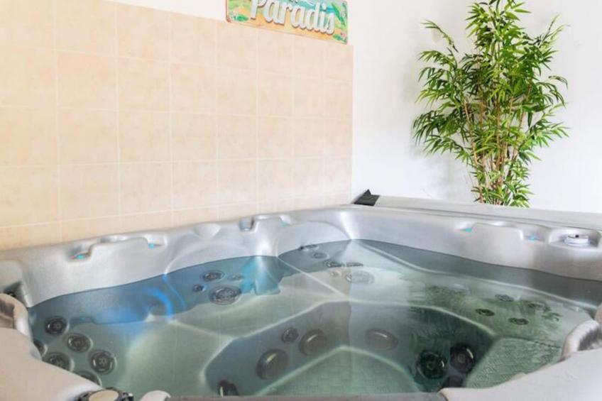 Gîte de France Gîte du régourdel avec spa 3 épis - foto 29