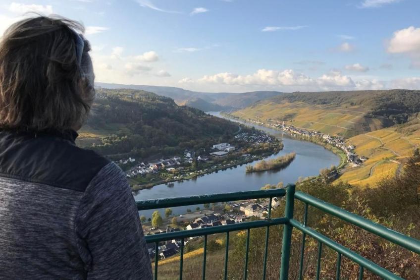 Olive Tree - foto 38