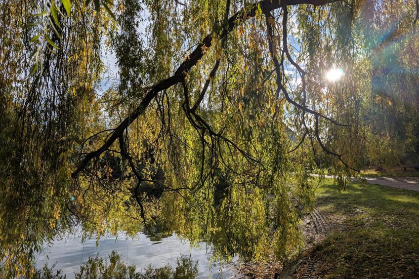 Mercure Hotel - Superior King Room - foto 34