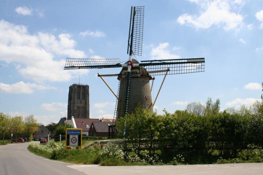 245450 - foto 29